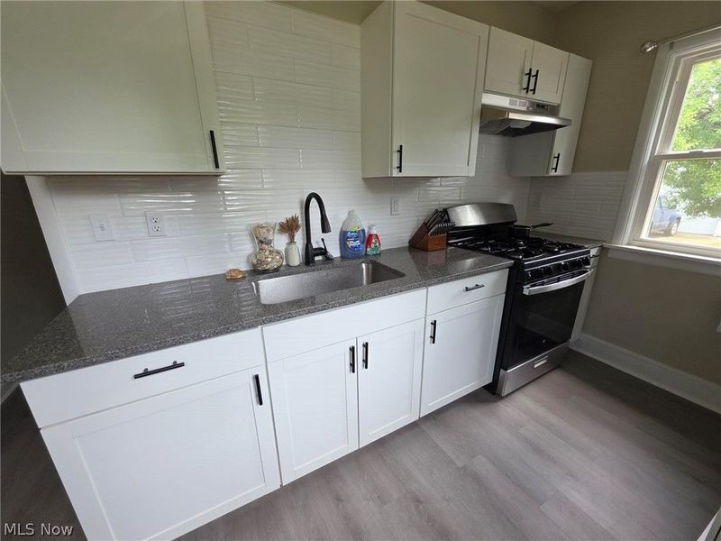 3909 Burger Avenue, Cleveland, OH 44109 Photo 12
