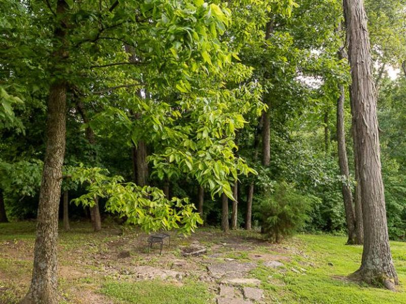 2059 Arbor Springs Boulevard, Union, KY 41091 Photo 28