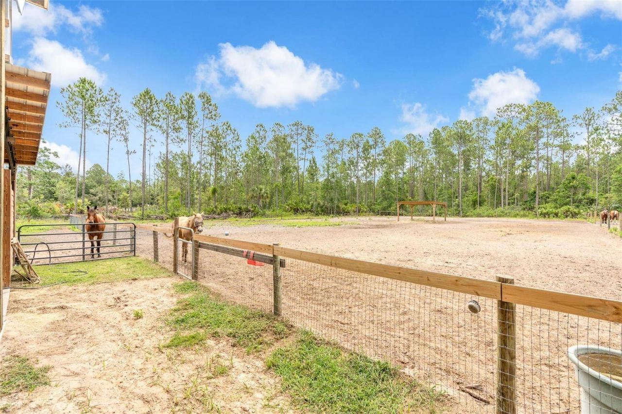 4823 Mahogany Boulevard, Bunnell, FL 32110 Photo
