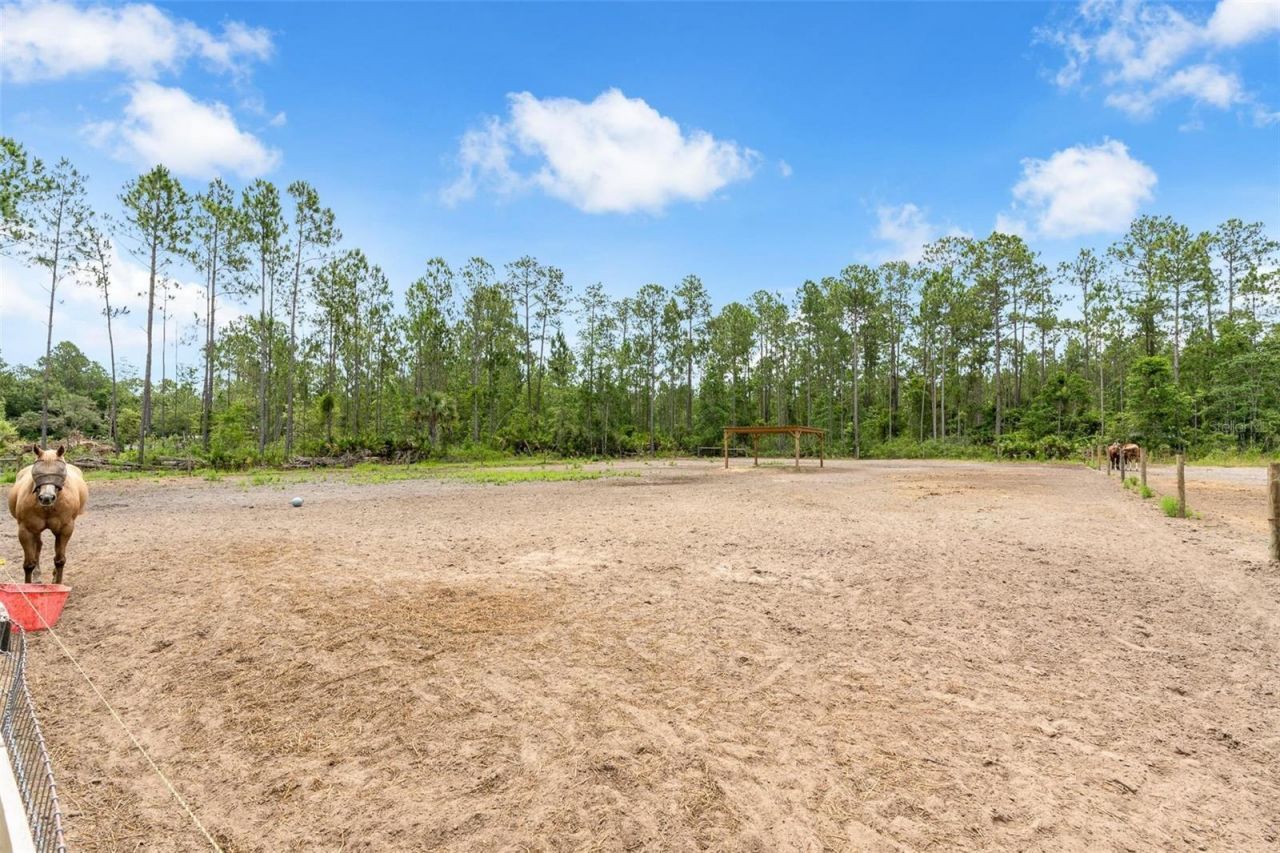 4823 Mahogany Boulevard, Bunnell, FL 32110 Photo