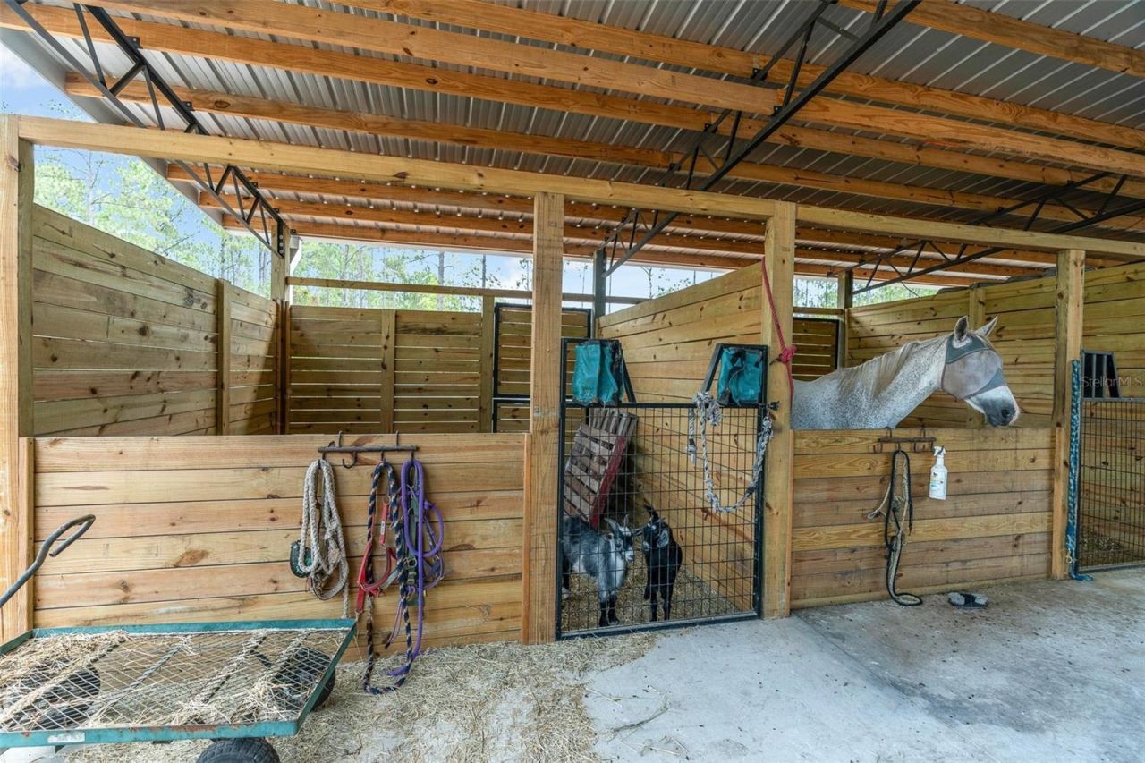 4823 Mahogany Boulevard, Bunnell, FL 32110 Photo
