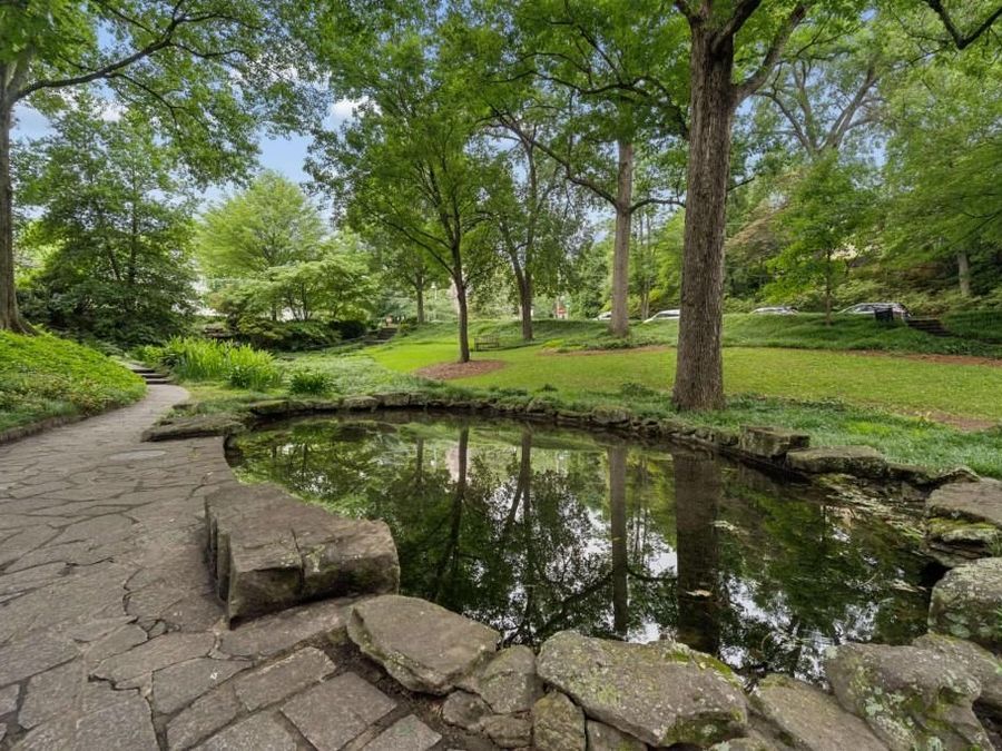 Property Image 83