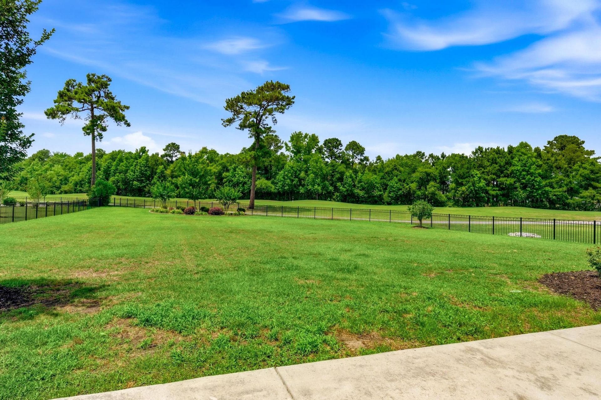 1009 Gallinule Dr. Photo 37