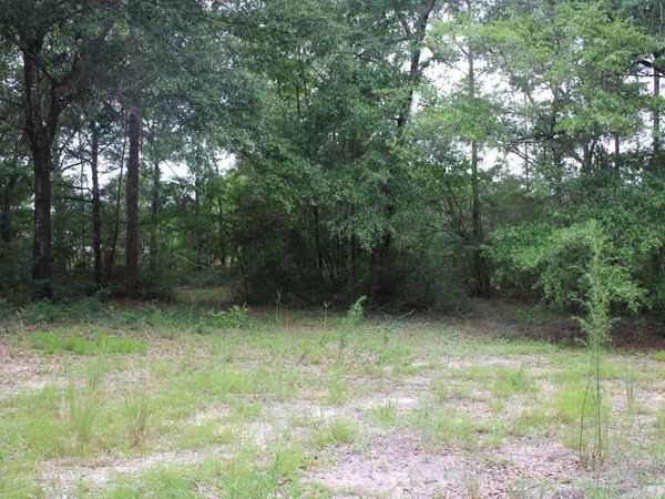 TBD Simpson, DeFuniak Springs, FL 32433