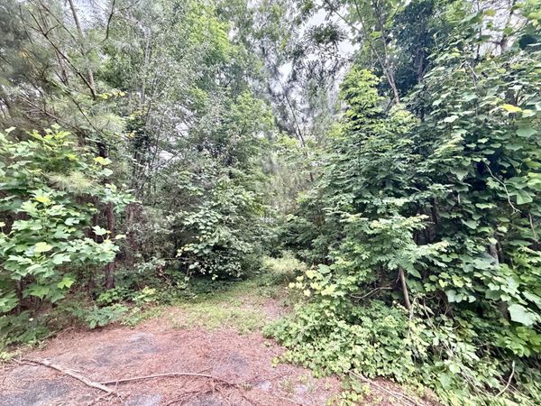 0 Cobbler Ridge Road , Unit 3, Franklin, TN 37064
