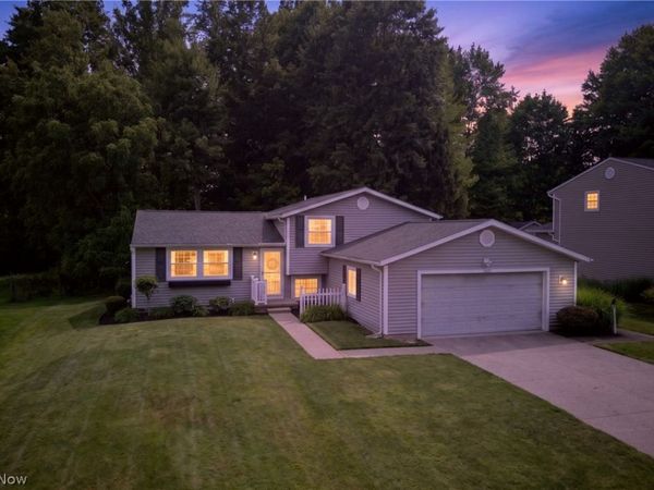 1664 Tinkers View Drive , Twinsburg, OH 44087