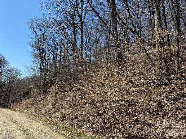 000 Granny Shepherd Road , Mars Hill, NC 28754