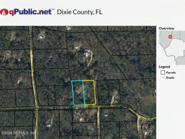 2236 NE 272ND Avenue, Old Town, FL 32680