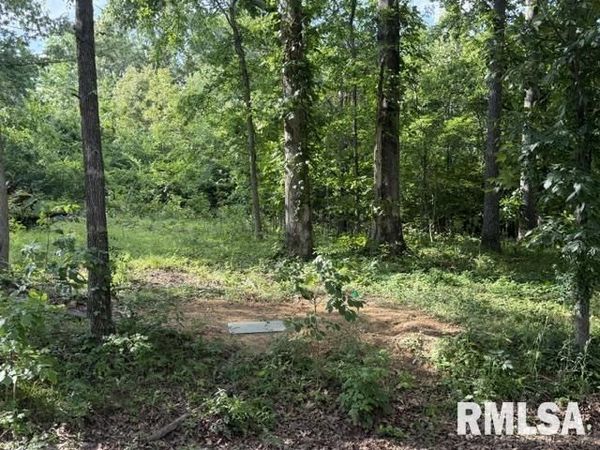 000 Wagon Creek Loop, Creal Springs, IL 62922