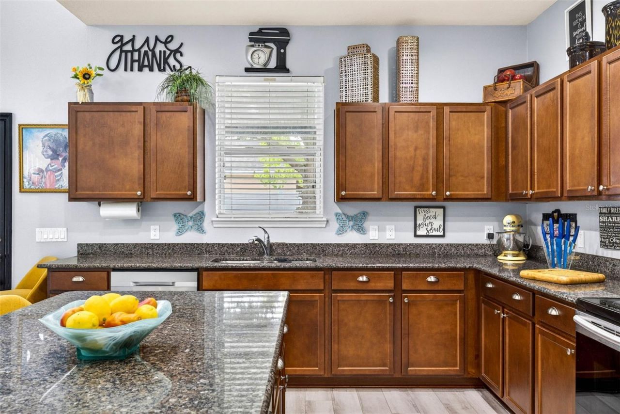 11531 Tangle Branch Lane , Gibsonton, FL 33534 Photo