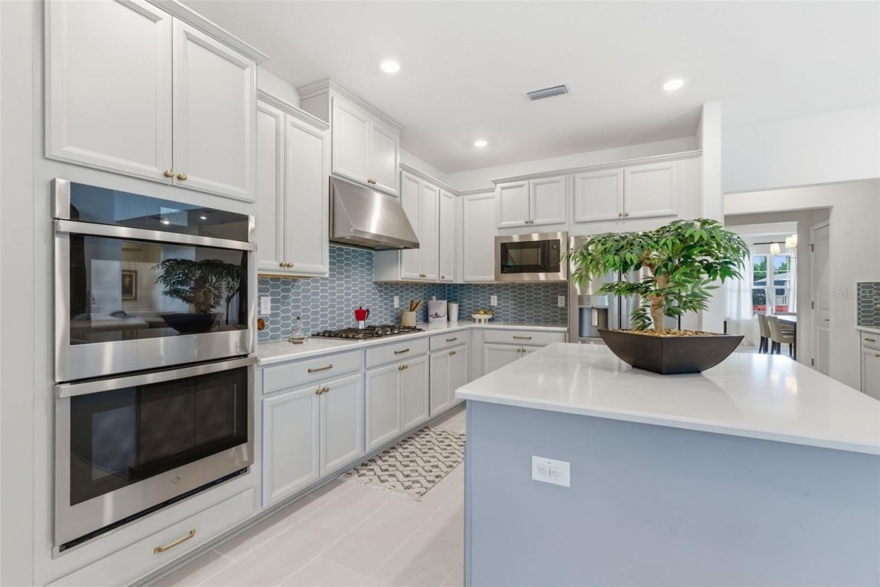 33774 Castaway Loop, Wesley Chapel, FL 33543 Photo