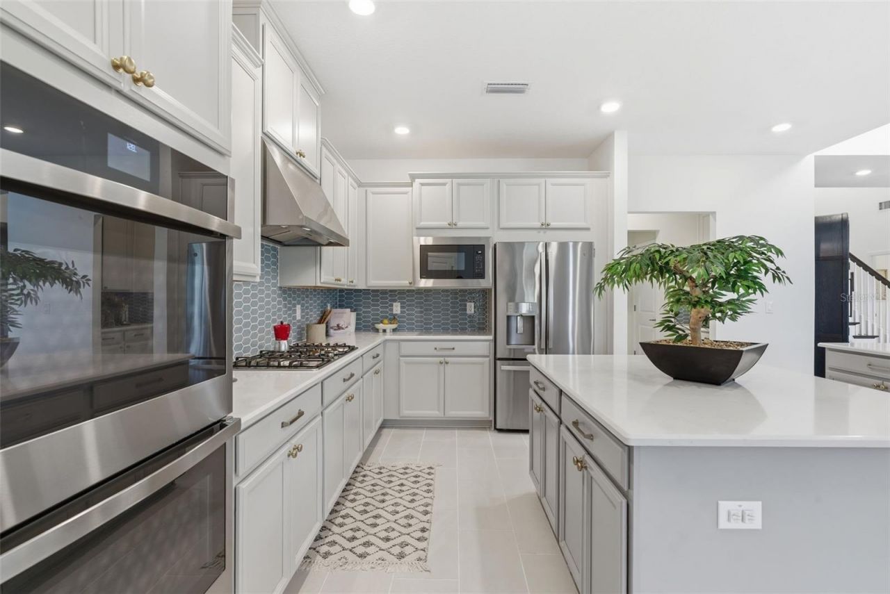 33774 Castaway Loop, Wesley Chapel, FL 33543 Photo