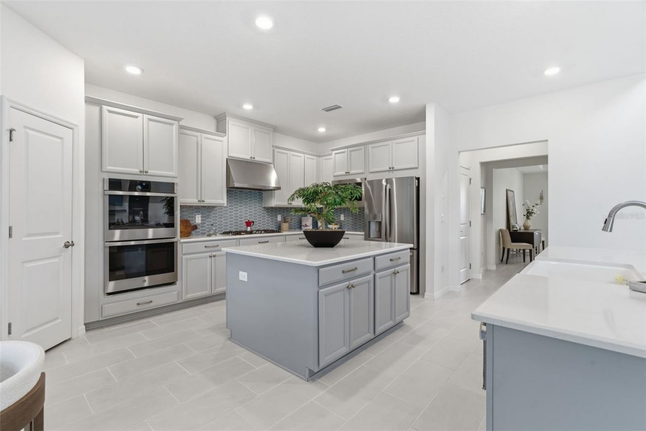 33774 Castaway Loop, Wesley Chapel, FL 33543 Photo