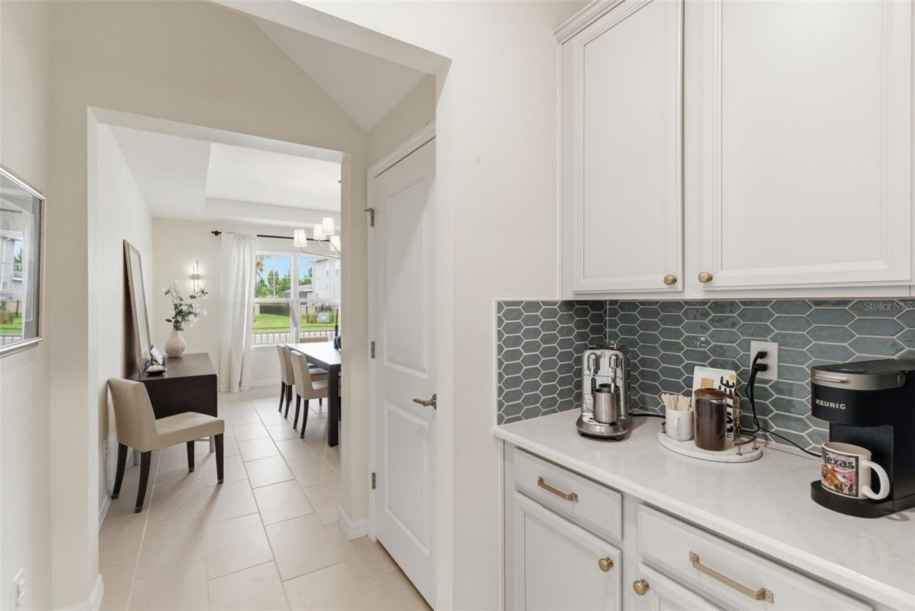 33774 Castaway Loop, Wesley Chapel, FL 33543 Photo