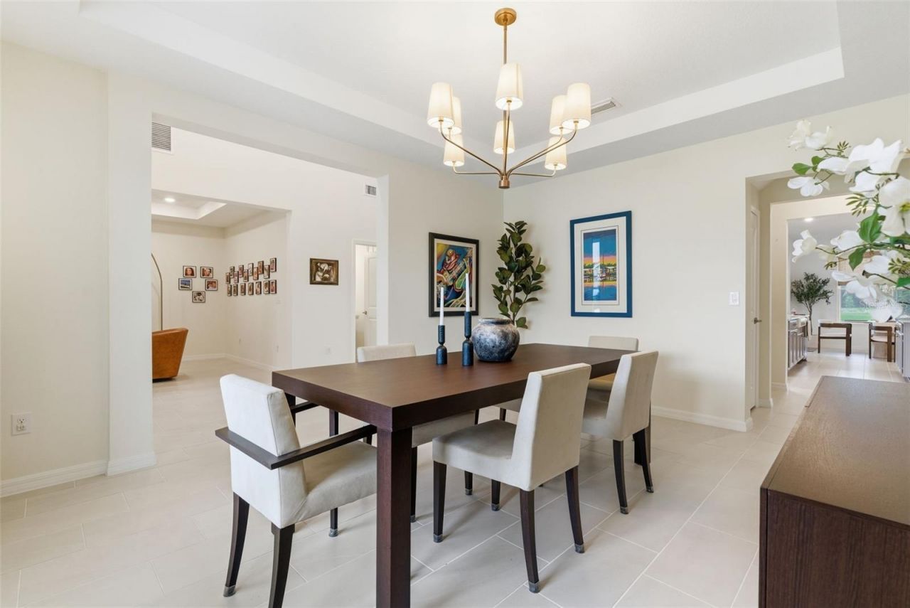 33774 Castaway Loop, Wesley Chapel, FL 33543 Photo