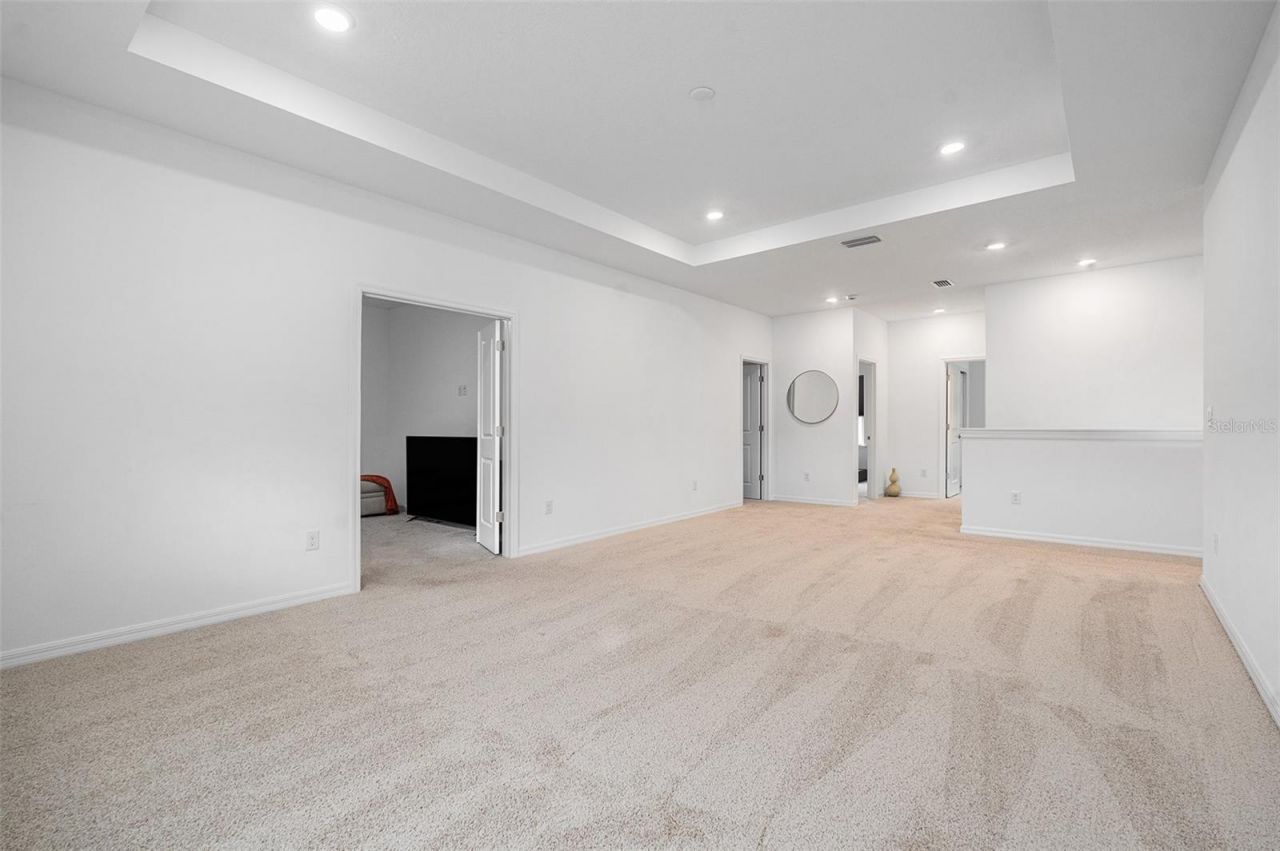33774 Castaway Loop, Wesley Chapel, FL 33543 Photo