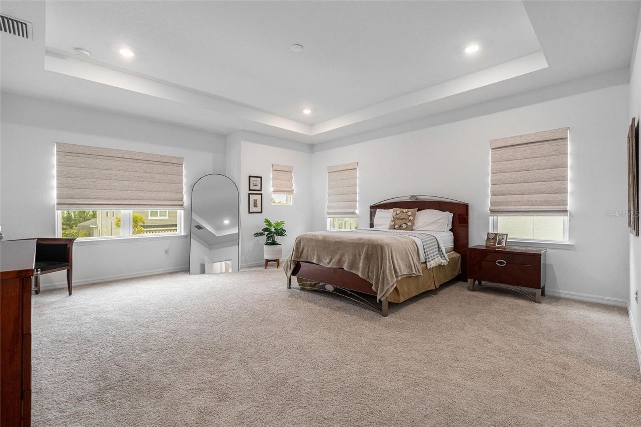33774 Castaway Loop, Wesley Chapel, FL 33543 Photo