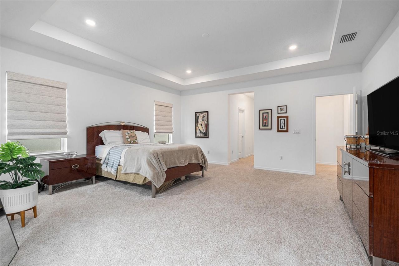 33774 Castaway Loop, Wesley Chapel, FL 33543 Photo