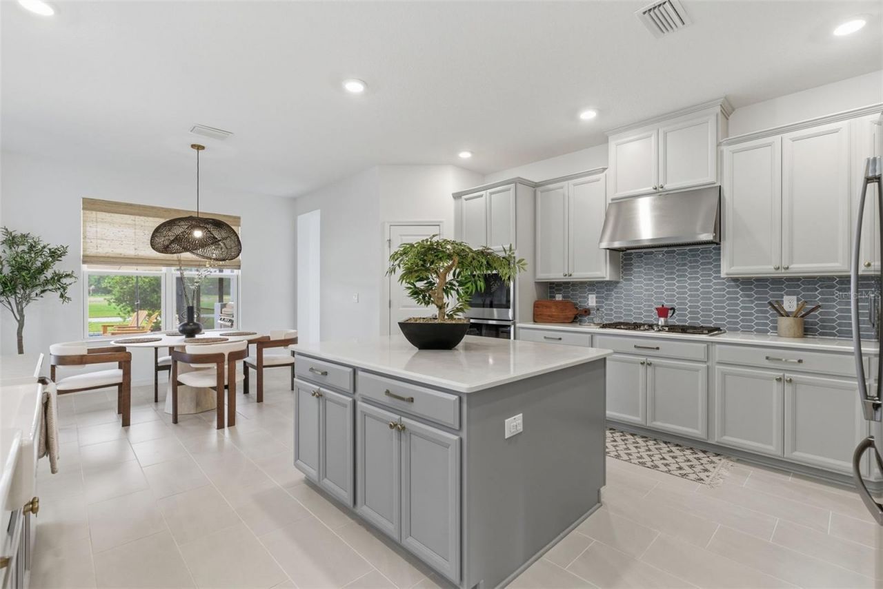 33774 Castaway Loop, Wesley Chapel, FL 33543 Photo