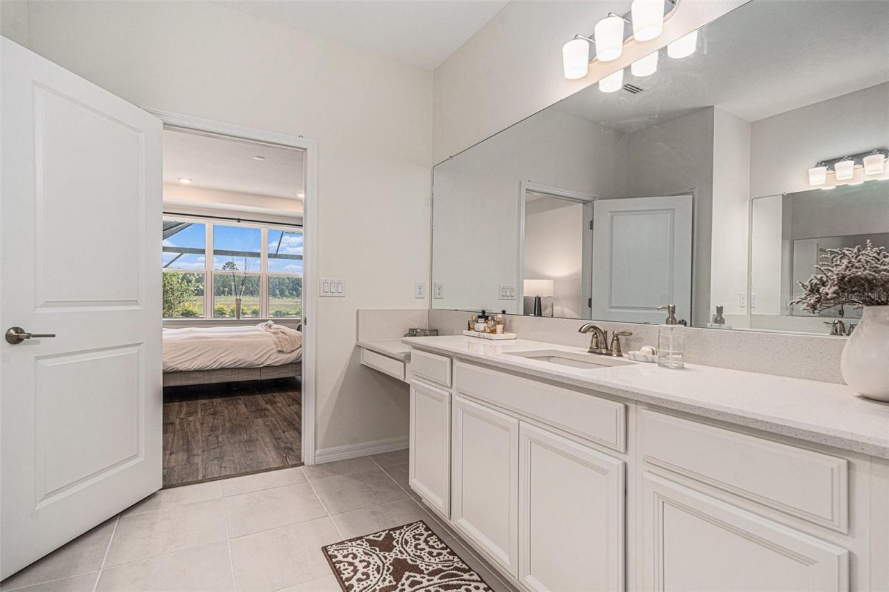 33774 Castaway Loop, Wesley Chapel, FL 33543 Photo