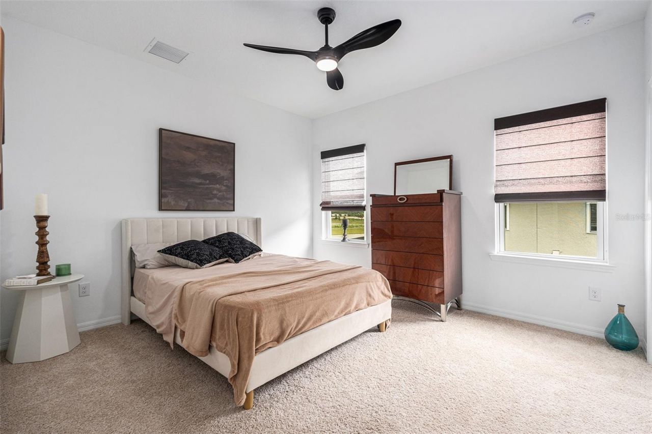 33774 Castaway Loop, Wesley Chapel, FL 33543 Photo