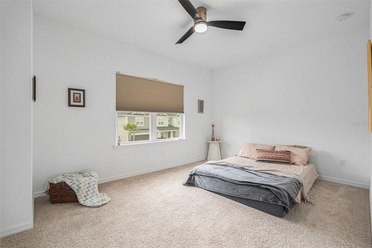 33774 Castaway Loop, Wesley Chapel, FL 33543 Photo