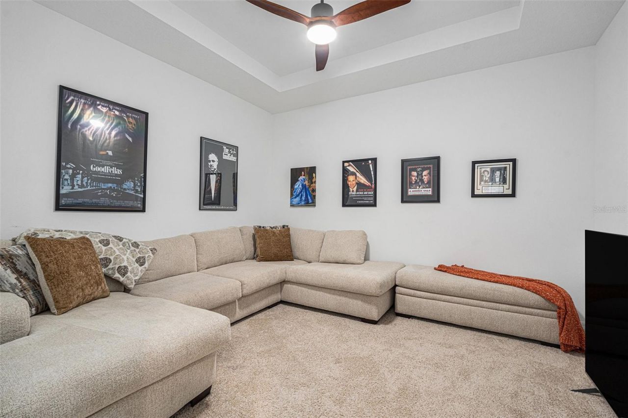 33774 Castaway Loop, Wesley Chapel, FL 33543 Photo
