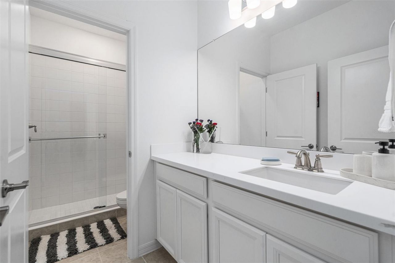 33774 Castaway Loop, Wesley Chapel, FL 33543 Photo