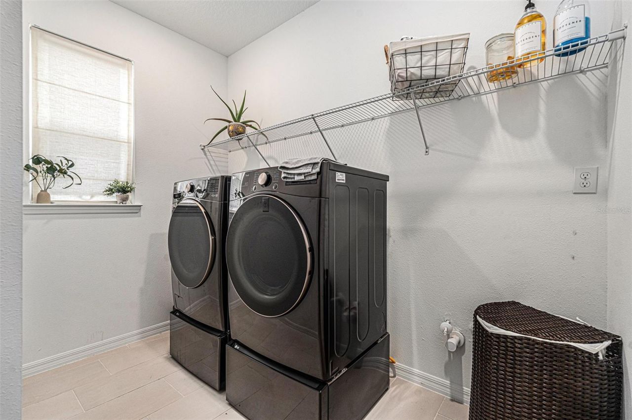 33774 Castaway Loop, Wesley Chapel, FL 33543 Photo