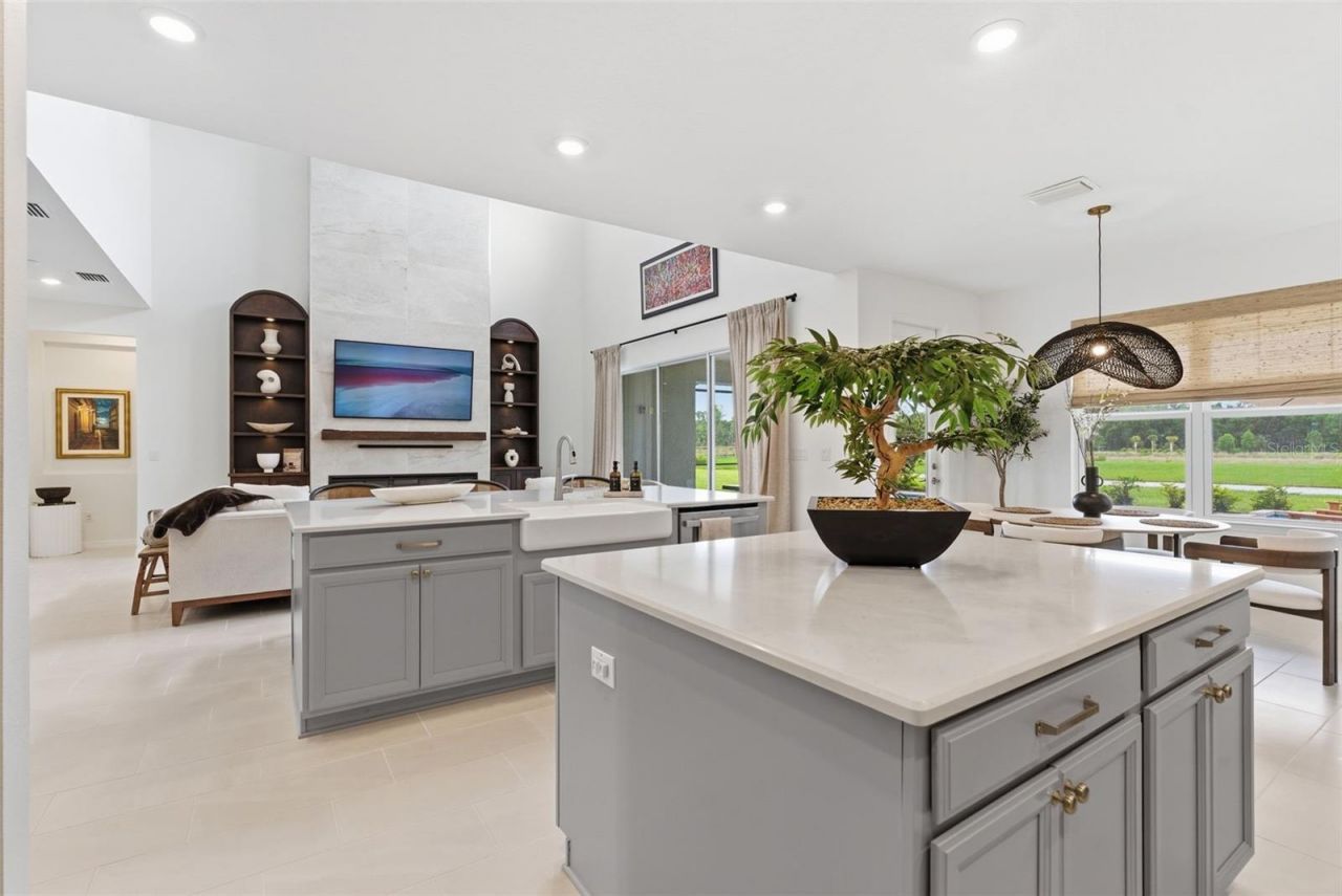 33774 Castaway Loop, Wesley Chapel, FL 33543 Photo