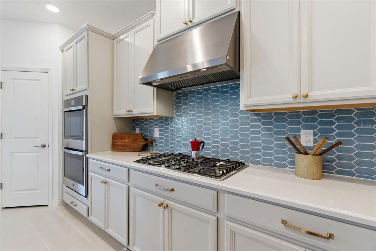 33774 Castaway Loop, Wesley Chapel, FL 33543 Photo