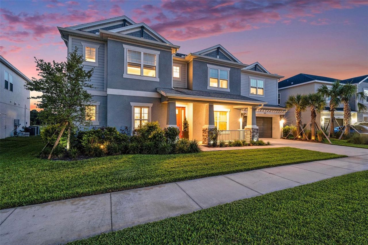 33774 Castaway Loop, Wesley Chapel, FL 33543 Photo