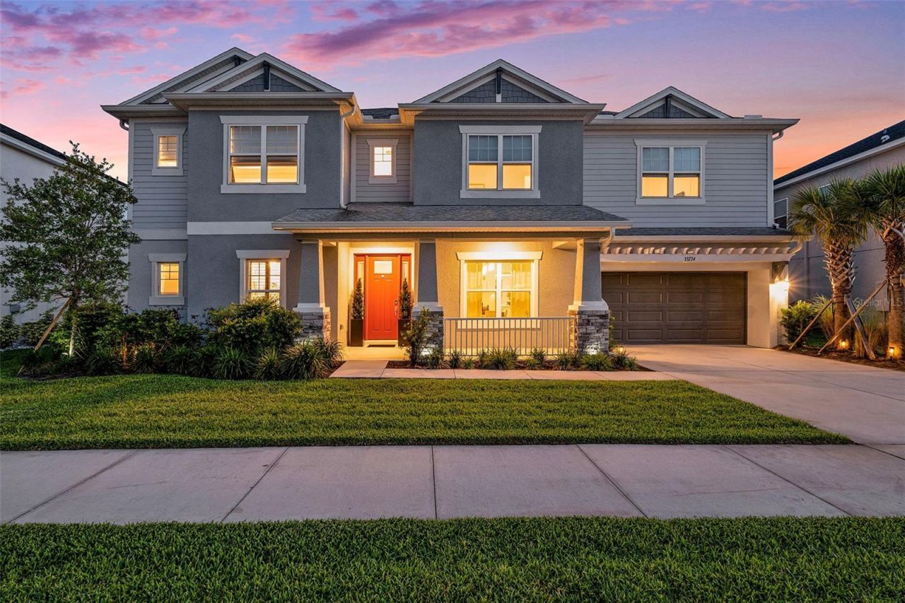 33774 Castaway Loop, Wesley Chapel, FL 33543 Photo