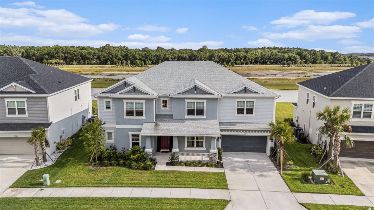 33774 Castaway Loop, Wesley Chapel, FL 33543 Photo