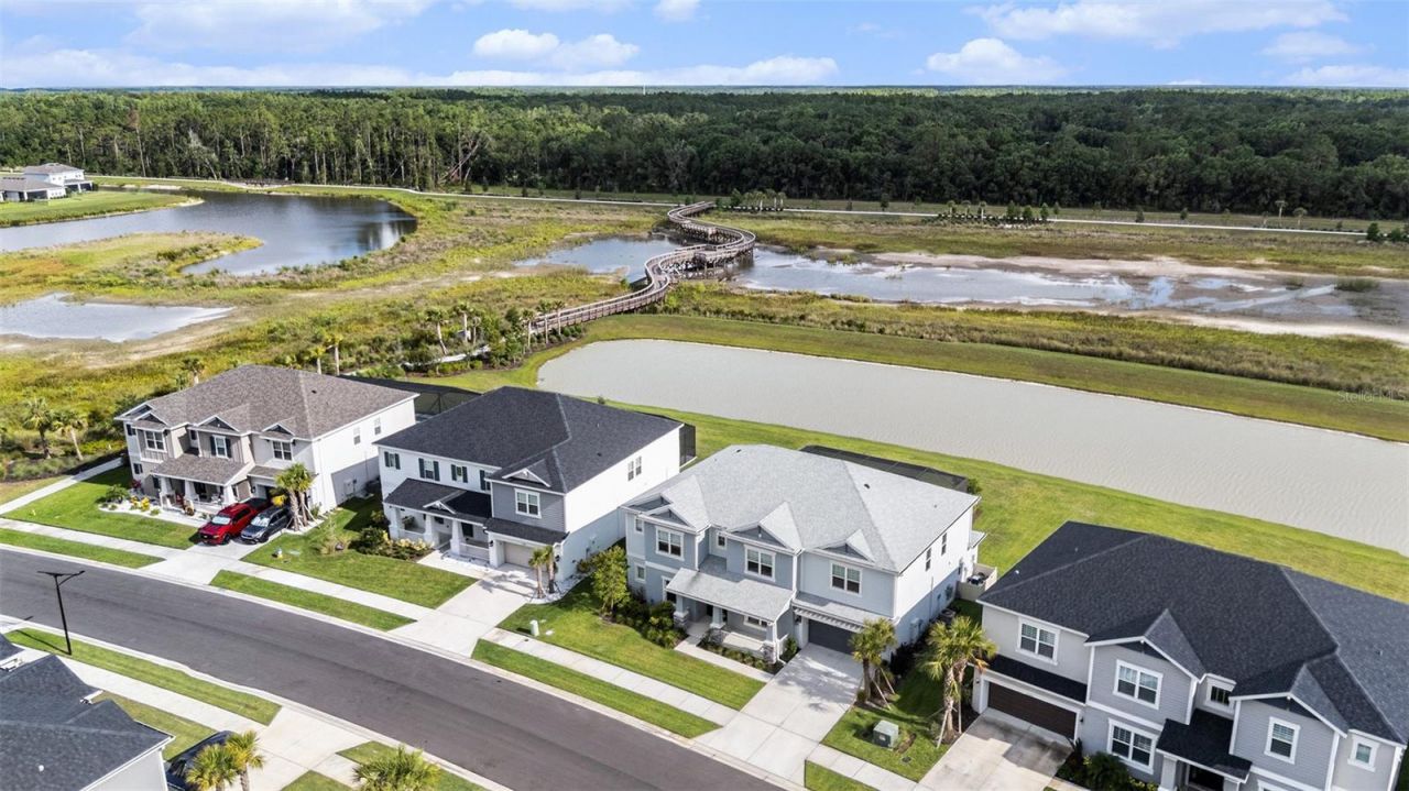 33774 Castaway Loop, Wesley Chapel, FL 33543 Photo