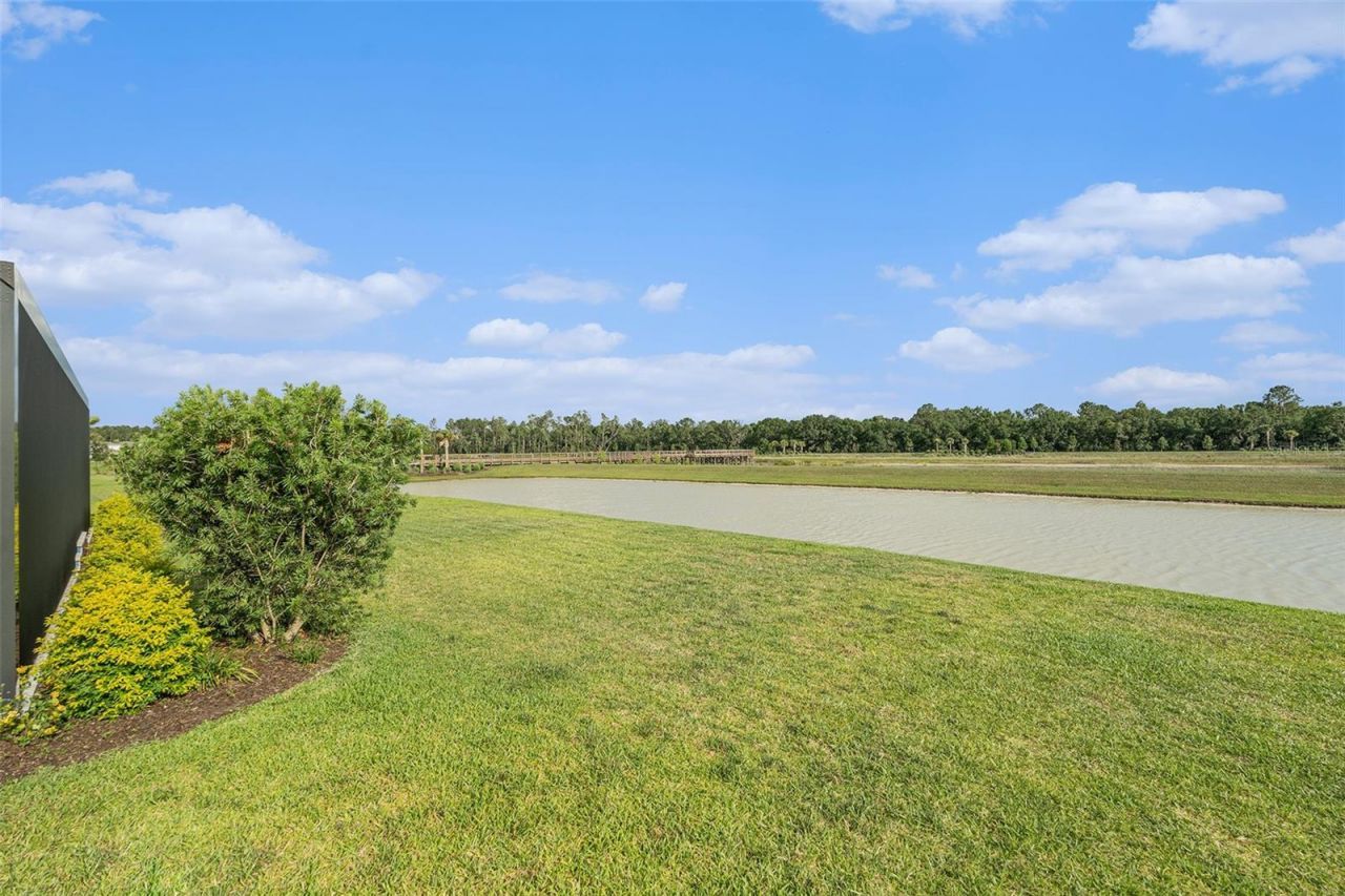 33774 Castaway Loop, Wesley Chapel, FL 33543 Photo