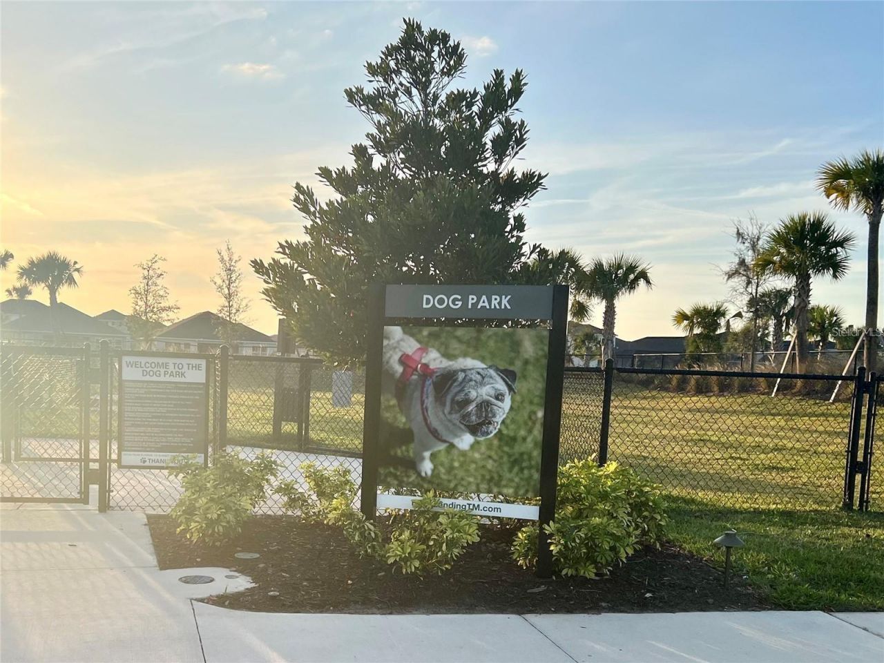 33774 Castaway Loop, Wesley Chapel, FL 33543 Photo