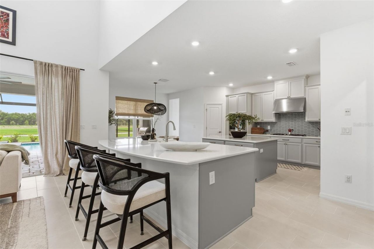 33774 Castaway Loop, Wesley Chapel, FL 33543 Photo