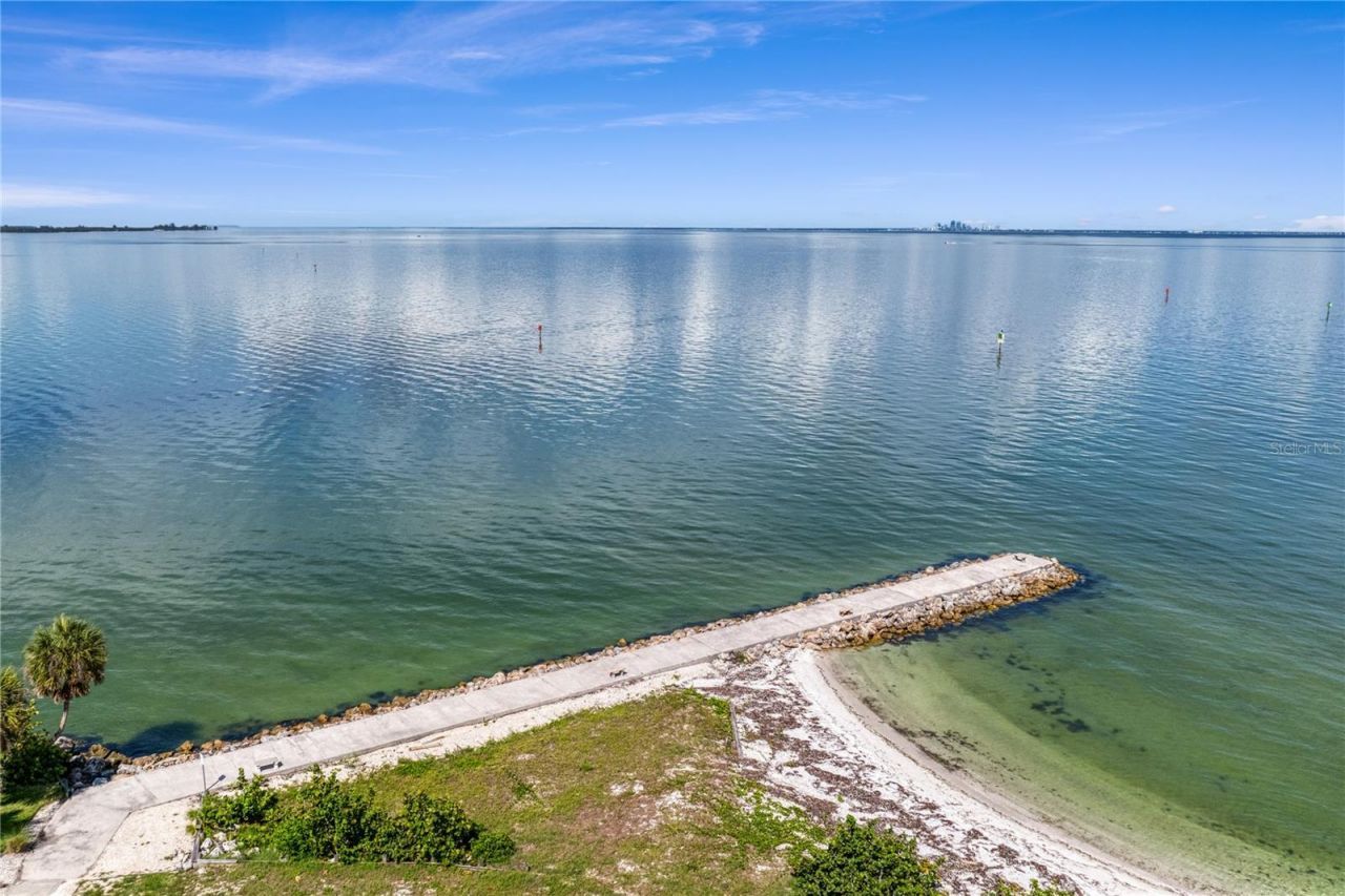 1317 Jumana Loop, Apollo Beach, FL 33572 Photo