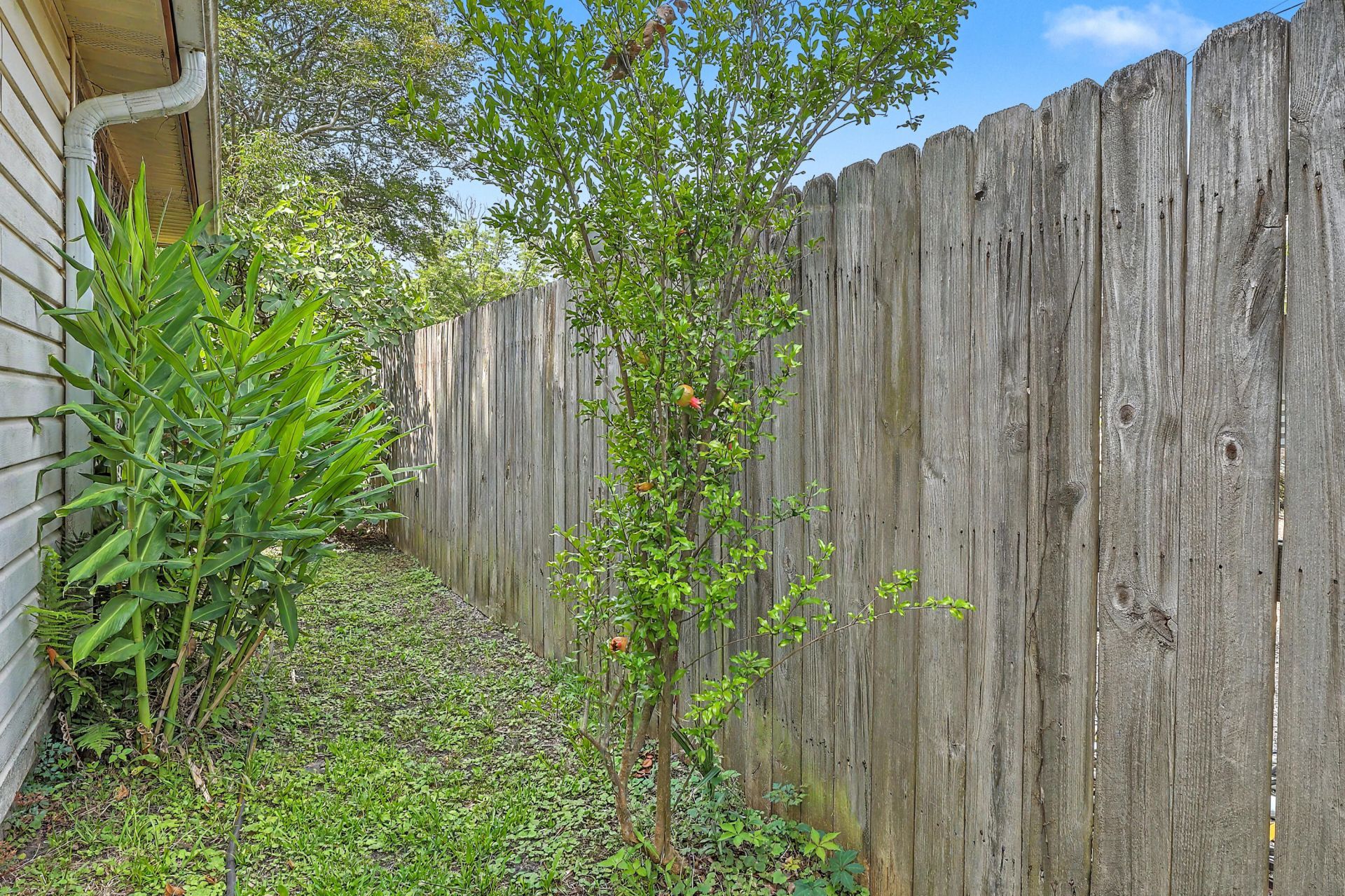 2154 Saint James Drive Photo 54
