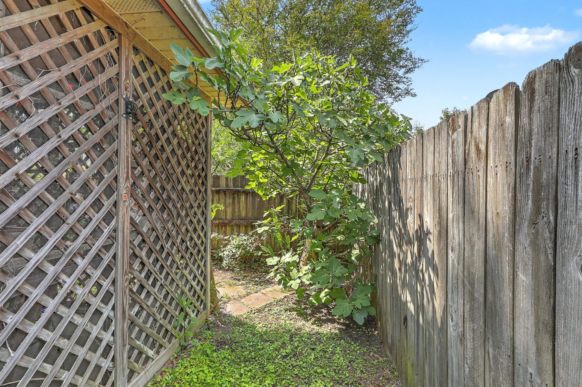 2154 Saint James Drive Photo 59