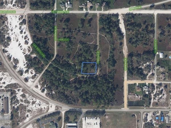 129 Bendix AVE NE, LAKE PLACID, FL 33852