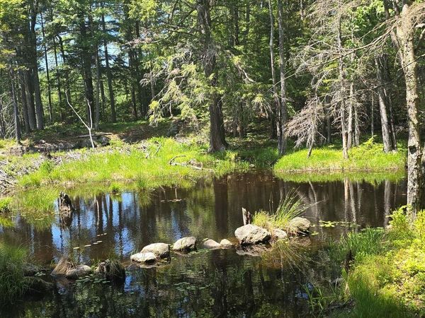Baine Road, Unit Map 47 Lot 1  & Map 1, Marlow, NH 03456