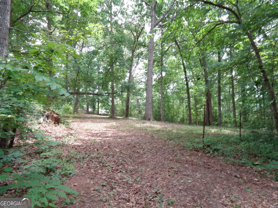 Property Image 43