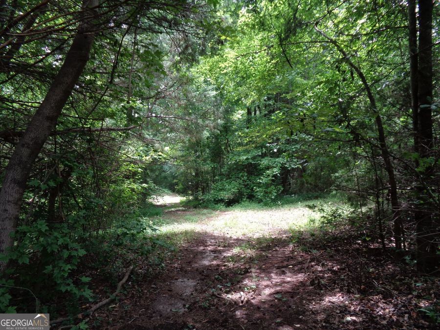 Property Image 53