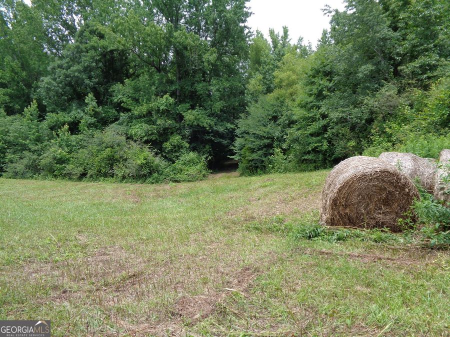Property Image 57