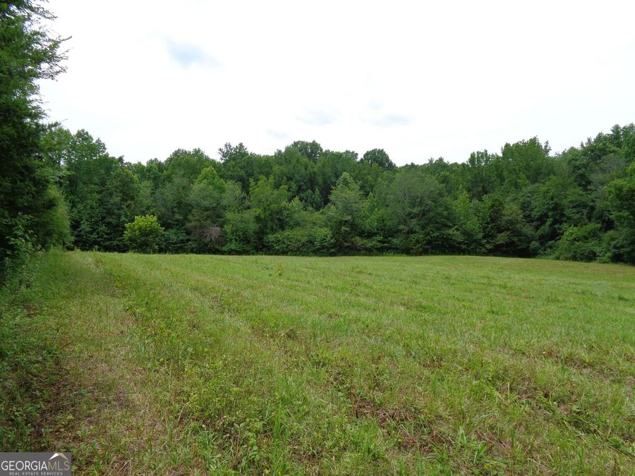 Property Image 60
