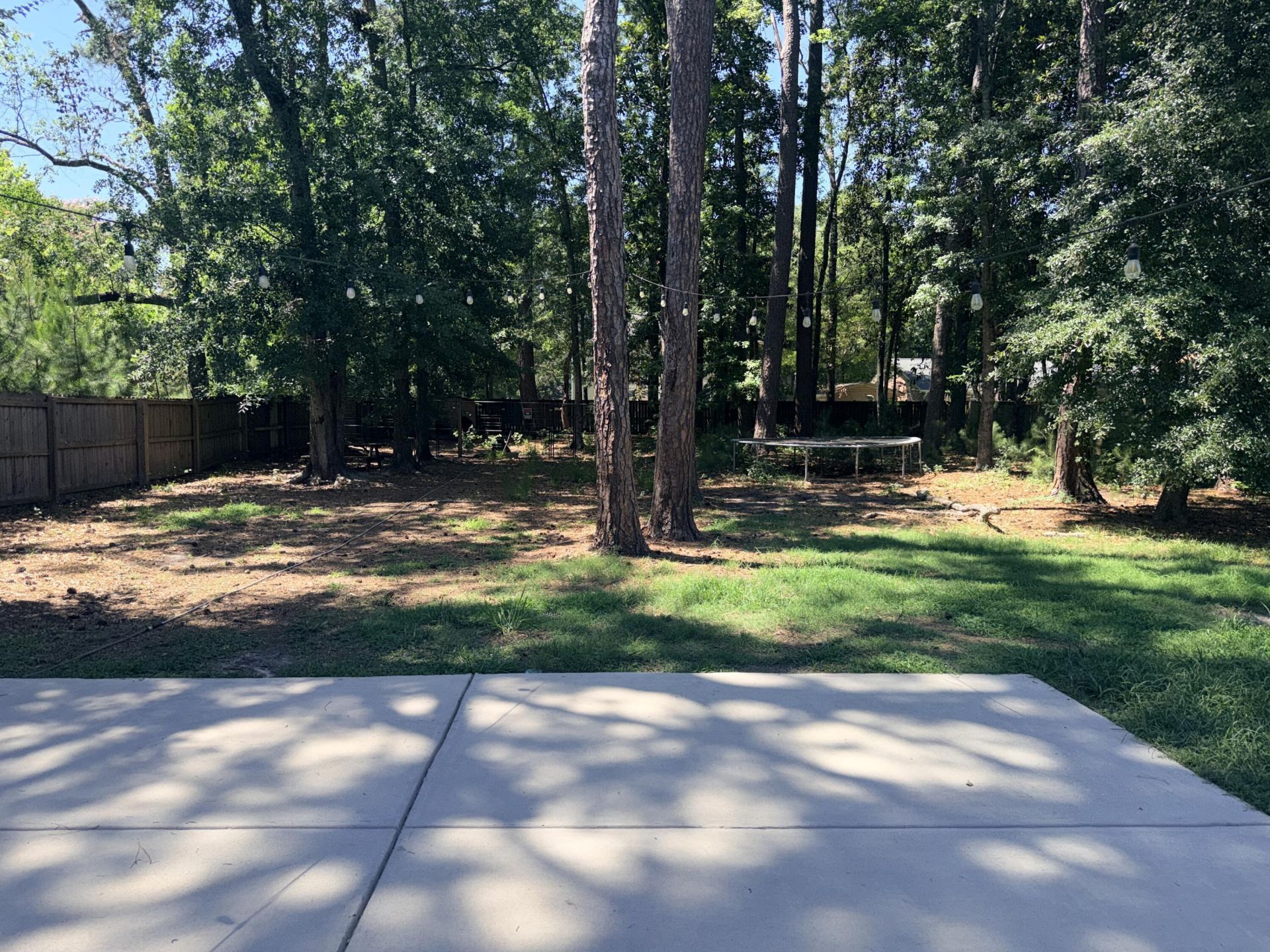 216 Shepard Street Photo 40