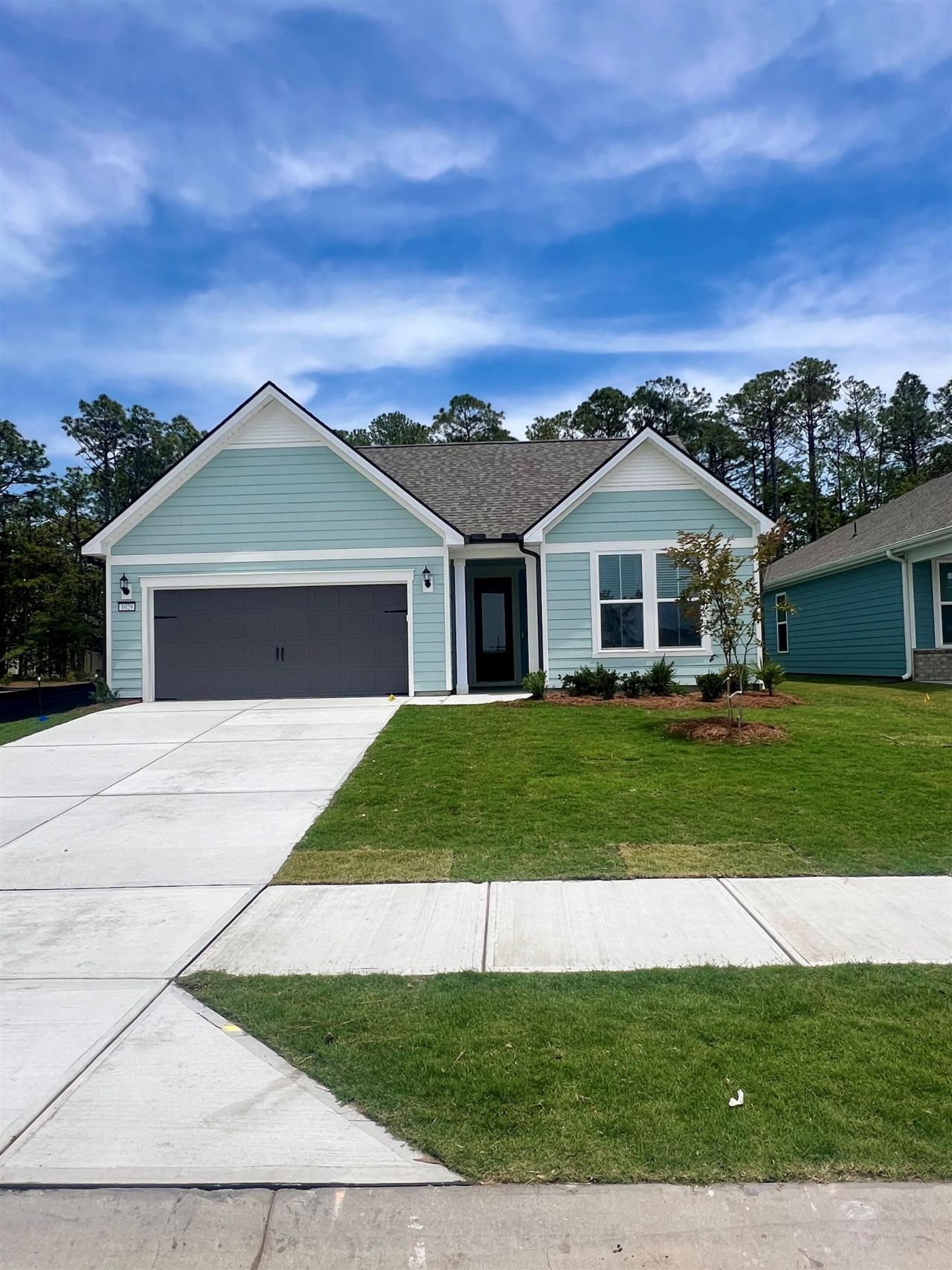 1029 Lady Bird Way  Photo 1