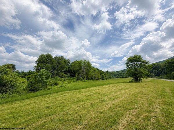 Lot 4 Iron Horse Lane, Dryfork, WV 26263
